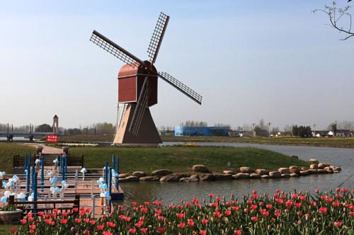 20190425153483.jpg 19.jpg