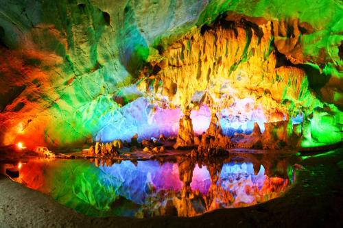 20190425480492.jpg 5.jpg