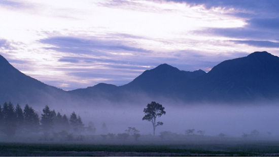 20190603559536.jpg U7189P1190DT20111122094051.jpg