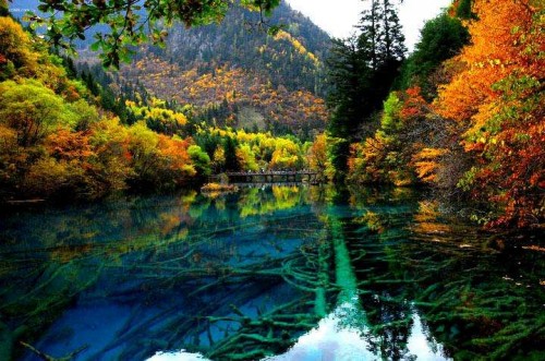 20190606803350.jpg 2.jpg