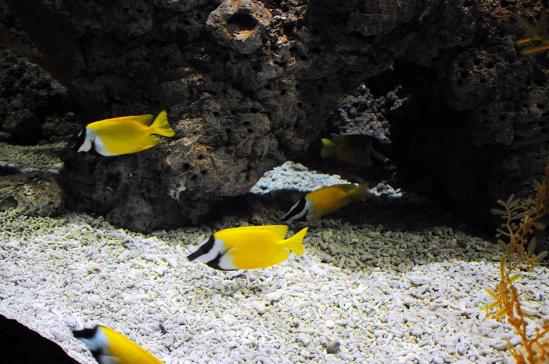 20191122154754.jpg t01a596516555510909.jpg