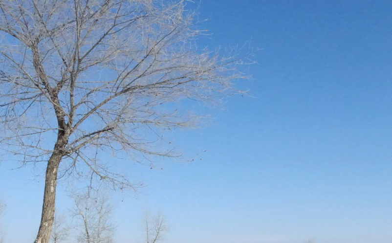 1640247154771302.png 图片.png