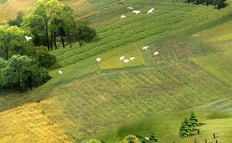 旅游+互联网 旅游+互联网