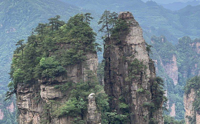 1642824046147731.png image.png