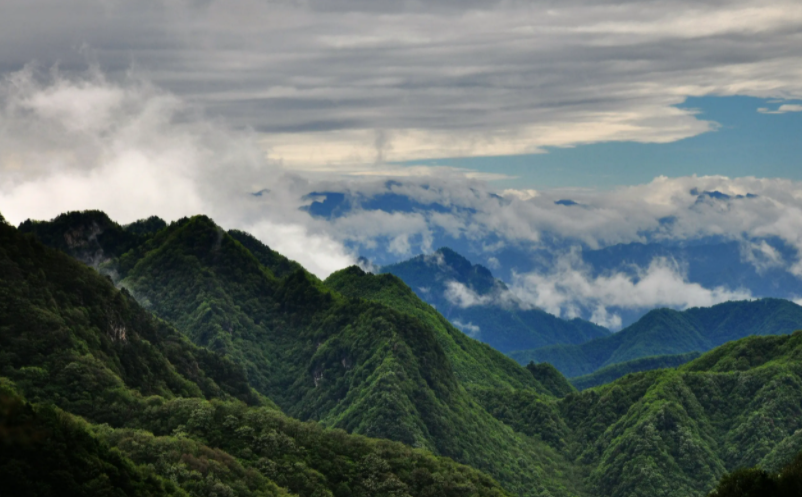 1647418869914818.png image.png