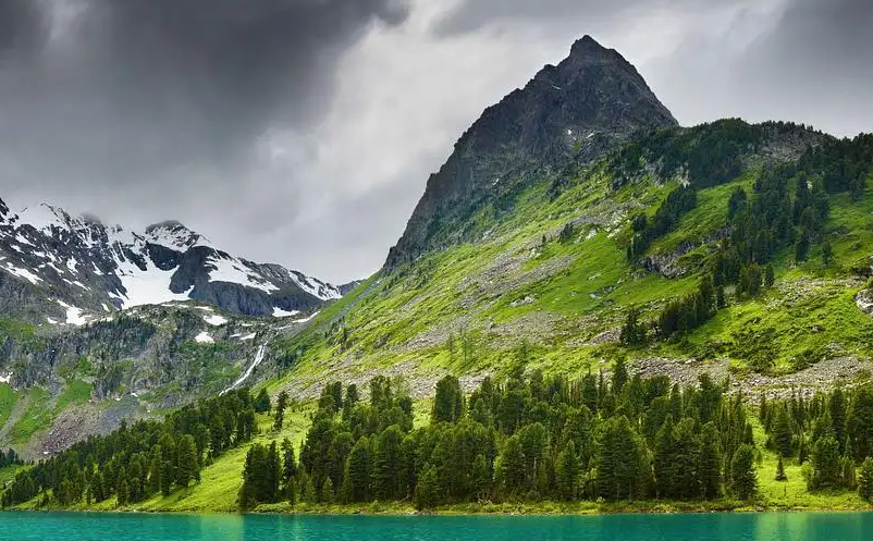 1647501839812237.png image.png