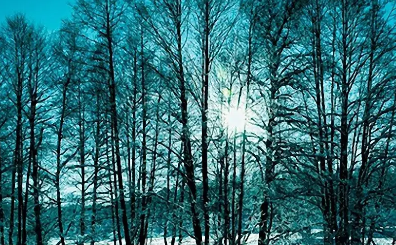 1649828357654424.png image.png