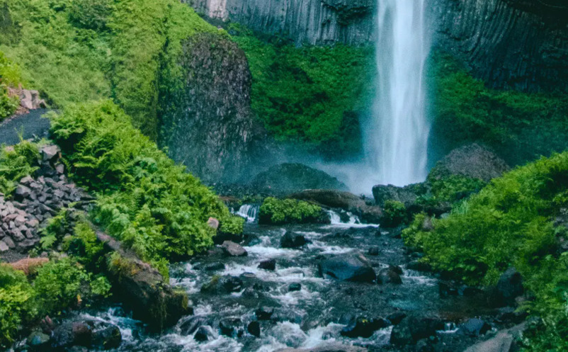 1650355878927716.png image.png