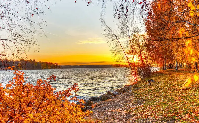 1650355895200300.png image.png