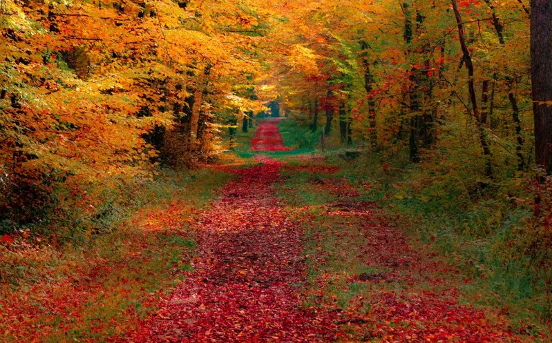 1650867140715264.png image.png