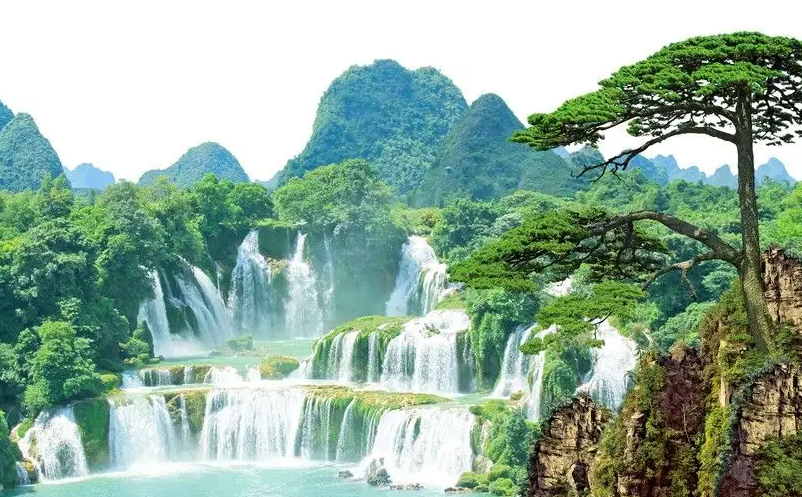 1651907291459886.png image.png