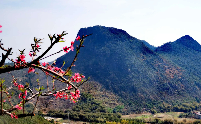 1652088978584524.png image.png