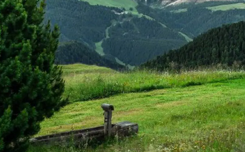 1652693289728758.png image.png