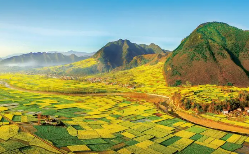 1653292701291618.png image.png