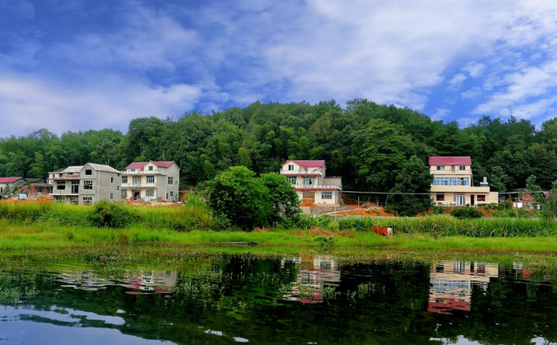 1656993478885392.png image.png