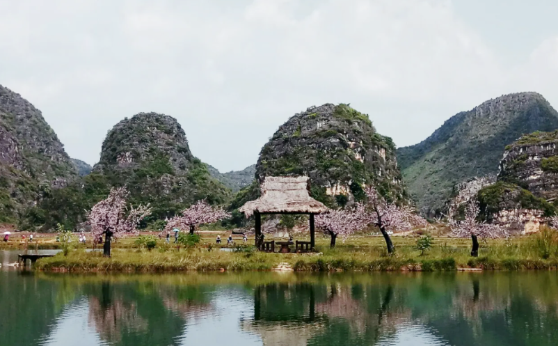 1656993531364674.png image.png