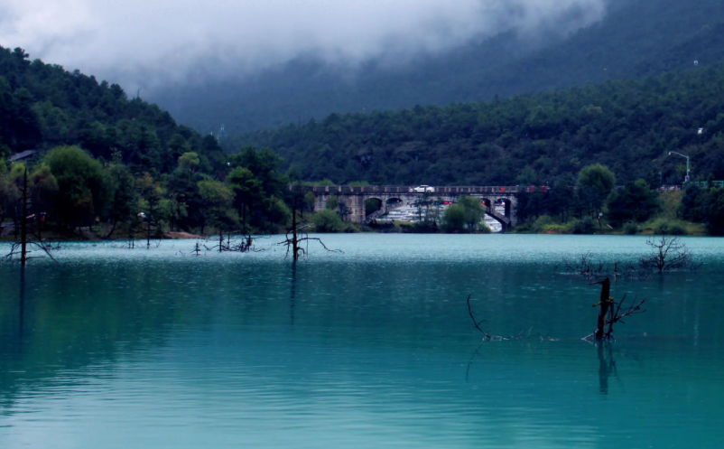 1657530822526611.png image.png