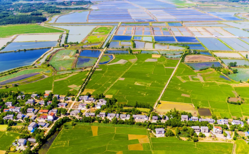 1657789559604651.png image.png