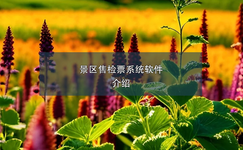 1720496230183057.png image.png