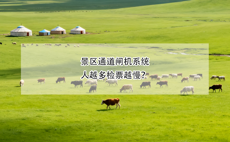 1762938494820623.png image.png